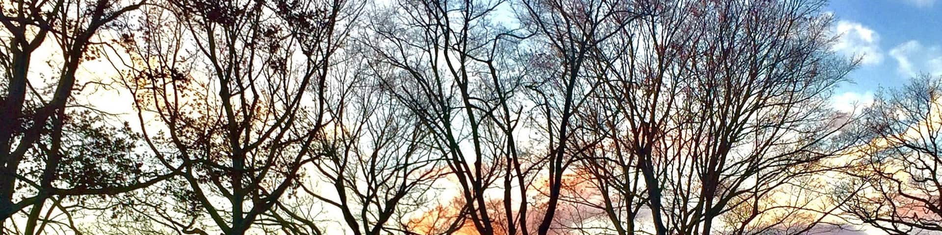 Glasshouse by Phillip Johnson, we went there in November and we were able to see it when the Sun is setting. Stunning!!