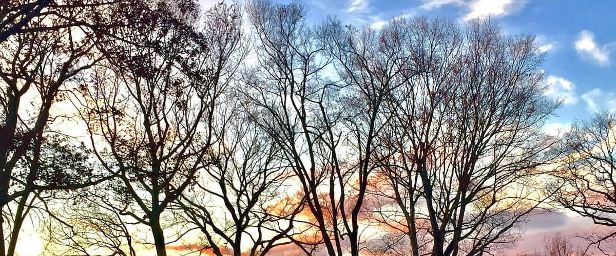 Glasshouse by Phillip Johnson, we went there in November and we were able to see it when the Sun is setting. Stunning!!