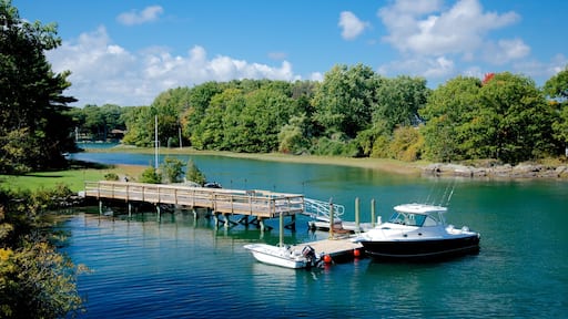 New Castle toont een rivier of beek en varen