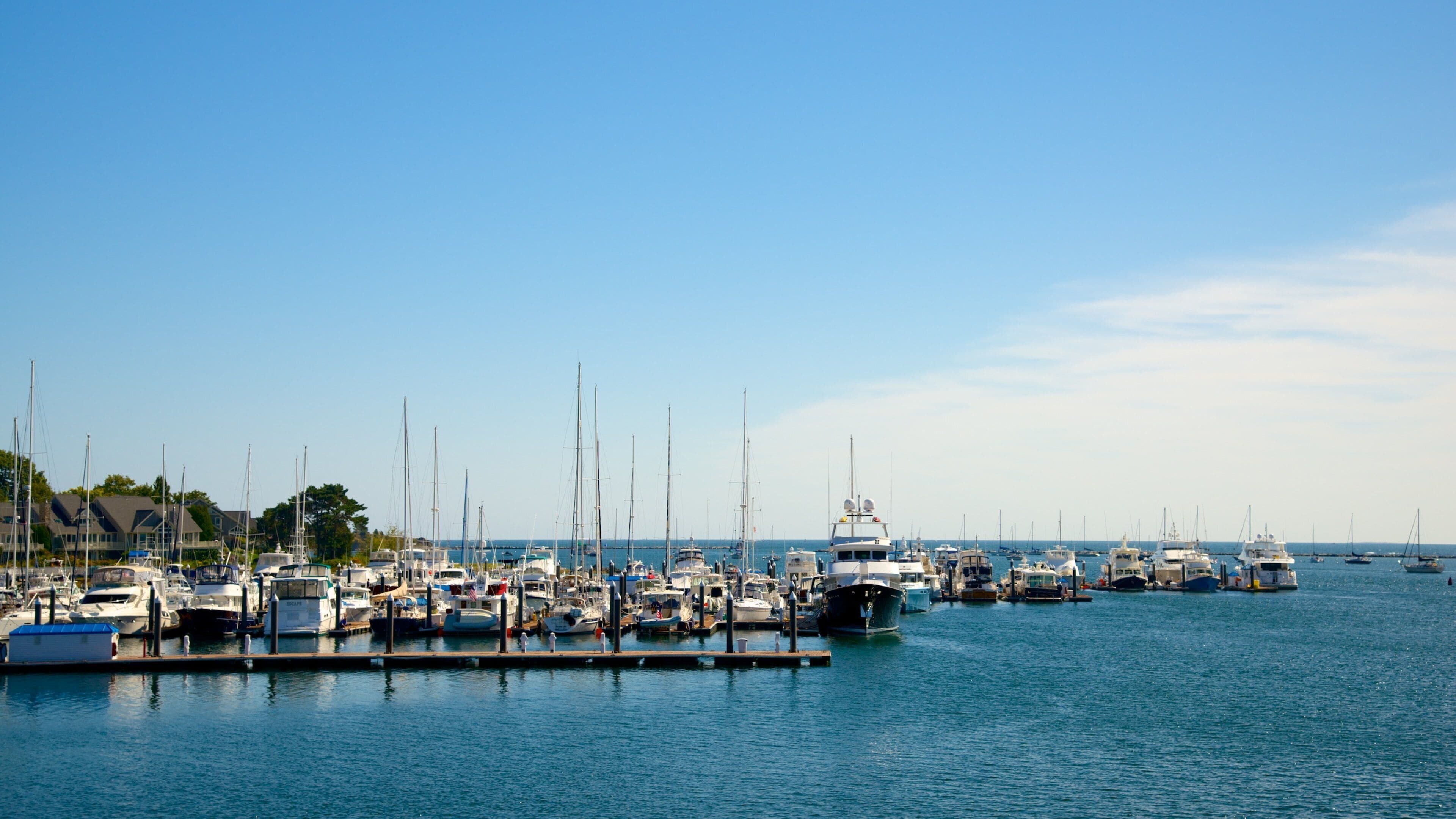 Una marina con varios barcos amarrados a lo largo de la costa.