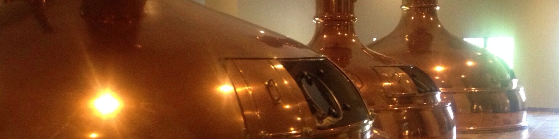 Free, self-guided tour of the brewery.  Famous for their Spotted Cow beer.