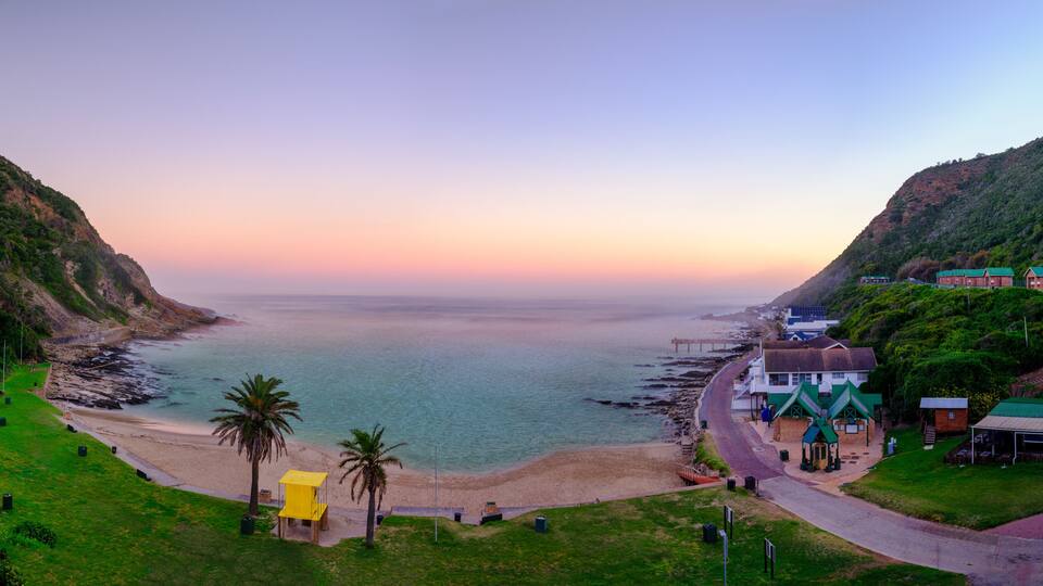 A coastal landscape with a beach, palm trees, and buildings along the shore.