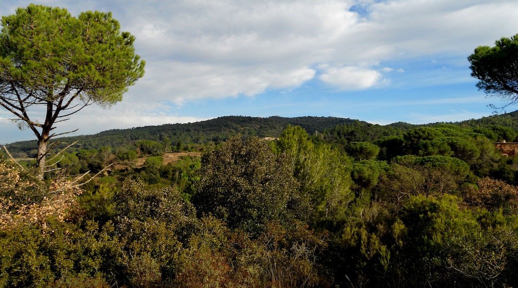 PAISATGE DES DEL TURÓ DE CAN GARCIA (VALL DE SANT DANIEL)