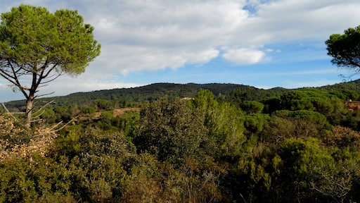 PAISATGE DES DEL TURÓ DE CAN GARCIA (VALL DE SANT DANIEL)