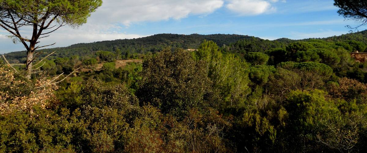 A mountainous landscape with dense forests and a clear sky.