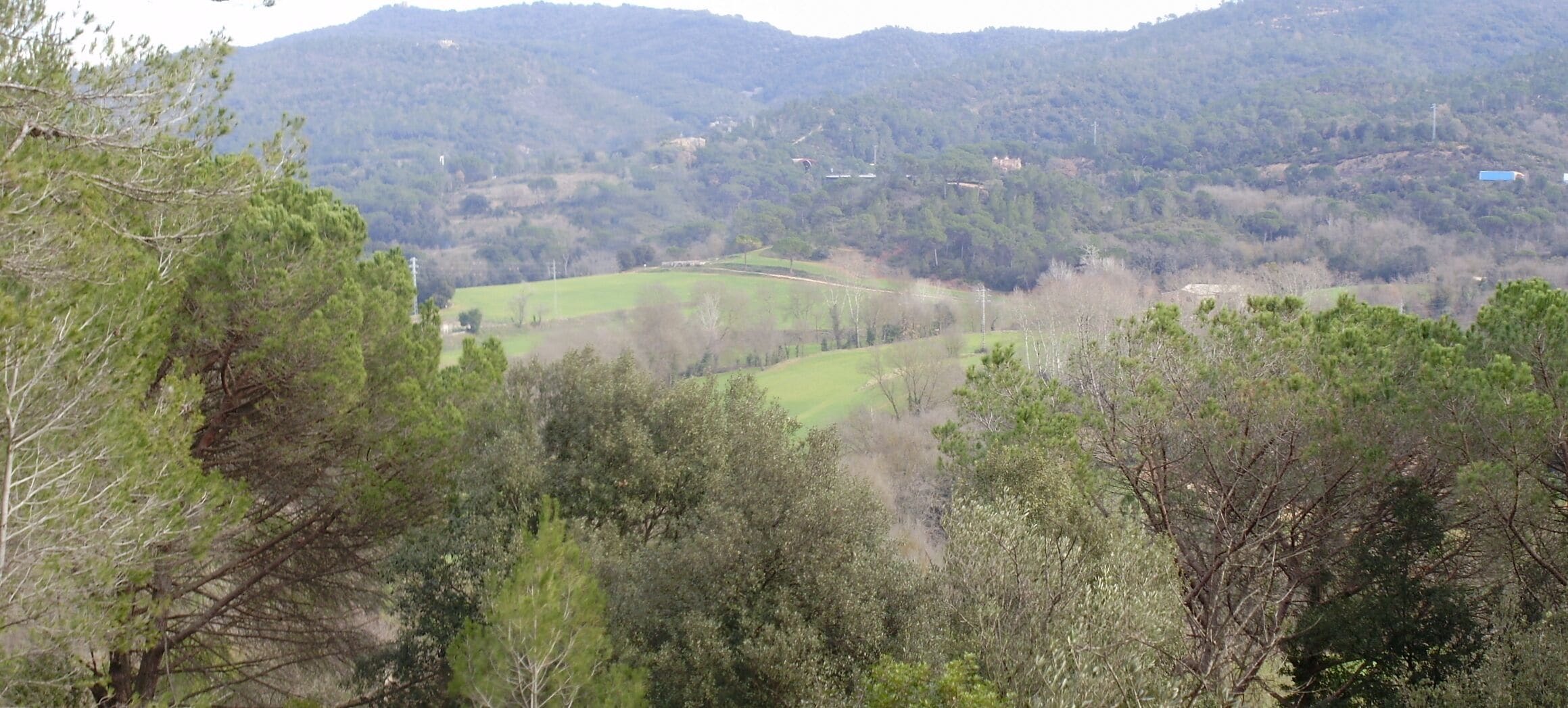 Panoràmica de la Vall de Sant Daniel (Girona)