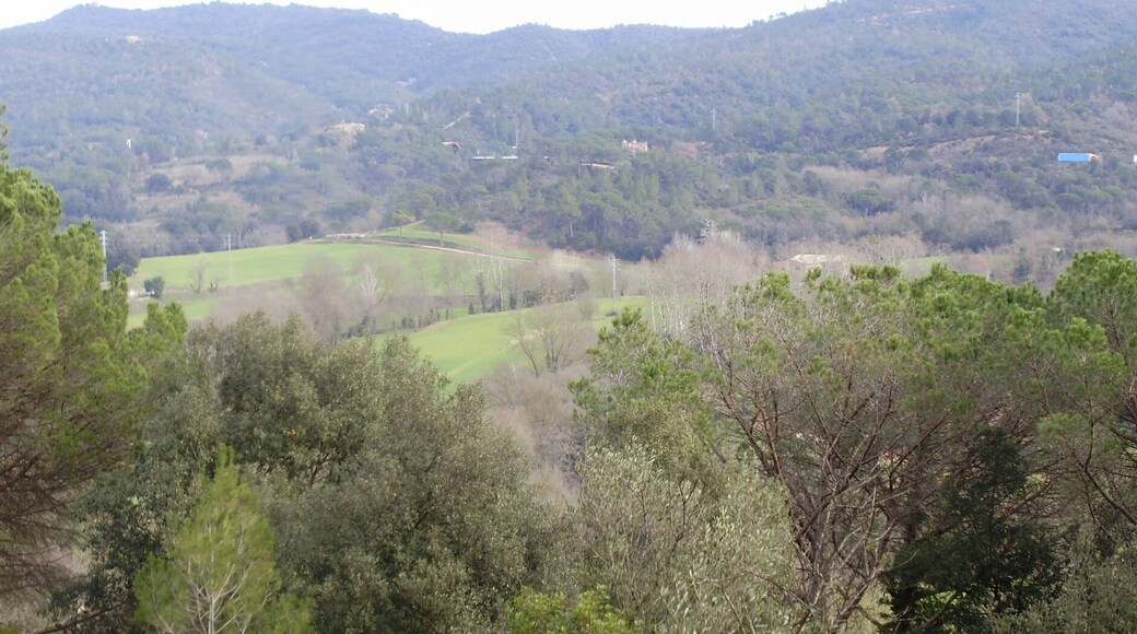 Panoràmica de la Vall de Sant Daniel (Girona)