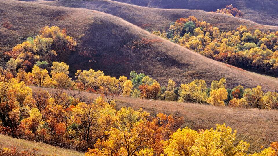 Rolling hills with autumn foliage.