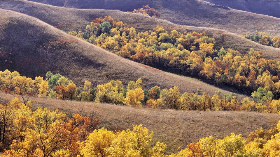 Rolling hills with autumn-colored trees.