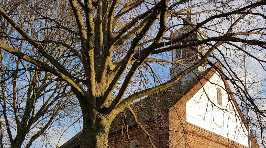 I suppose it must be the church that Church street (Kerkstaat) in Groningen is named after.