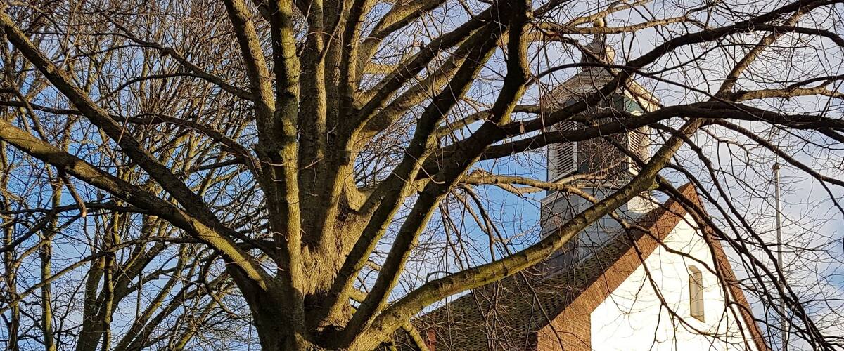 I suppose it must be the church that Church street (Kerkstaat) in Groningen is named after.