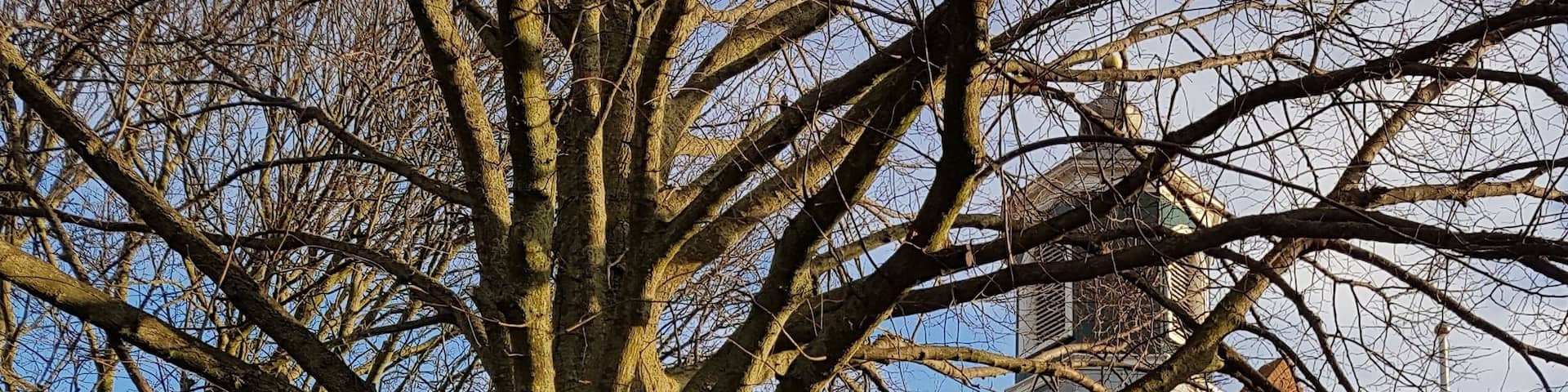 I suppose it must be the church that Church street (Kerkstaat) in Groningen is named after.