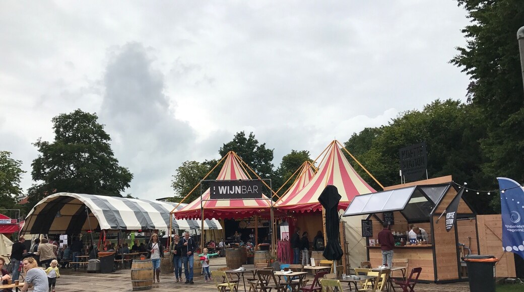 Every year in August there is a great culture festival called Noorderzon.