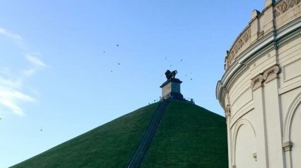 Are true gem in the history of Europe to visit where the battle of Waterloo was taken place well worth the money.