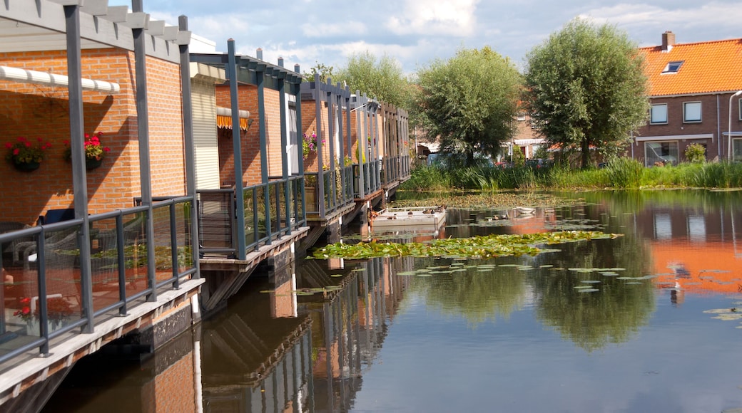 Typical Dutch family houses. Modern architecture in Netherlands