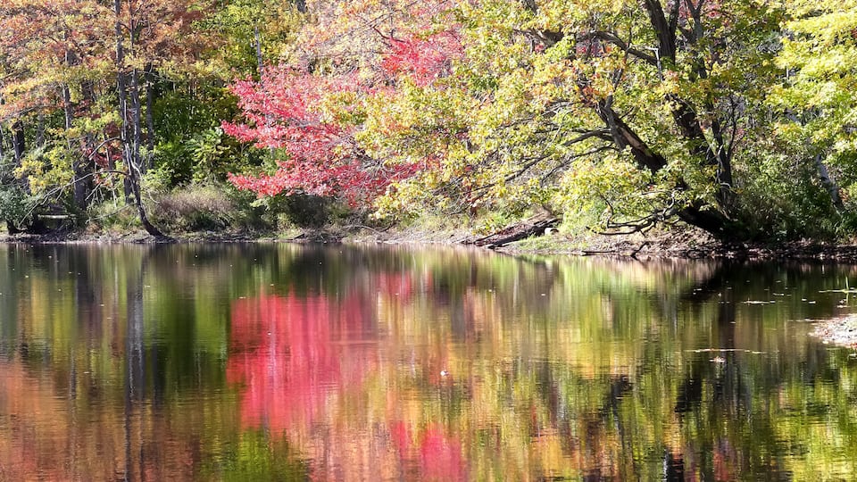 A calm lake surrounded by autumn foliage with reflections of trees.