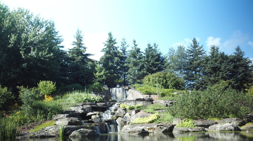 The waterfall at the Frederik Meijer Gardens.