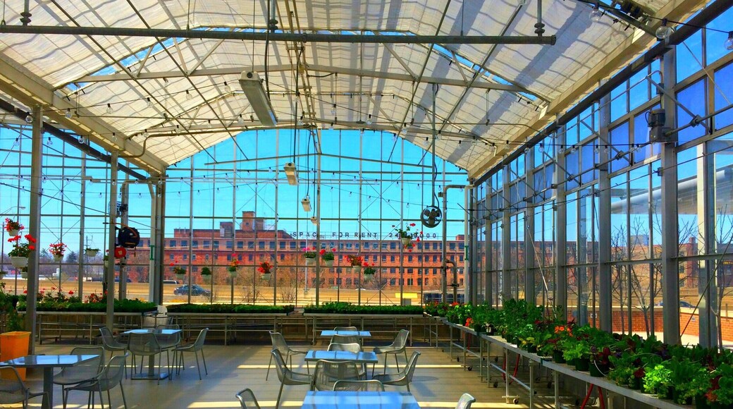 The Downtown Market in Grand Rapids is a specialty food and homemade goods market and is a wonderful place to spend a couple of hours on the weekend. Read more about it here: http://bit.ly/1Sl2oNV