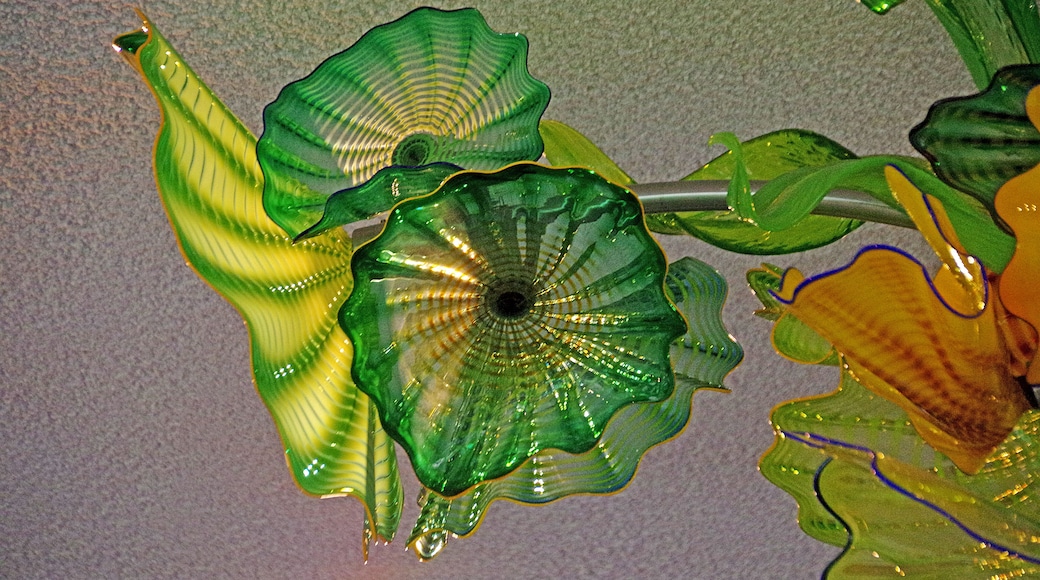 แกรนด์แรพิดส์