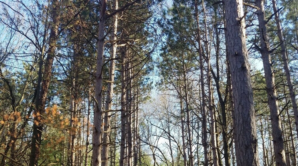 Scenic little park. Worth a stop if you dont have time for too much hiking or walking.