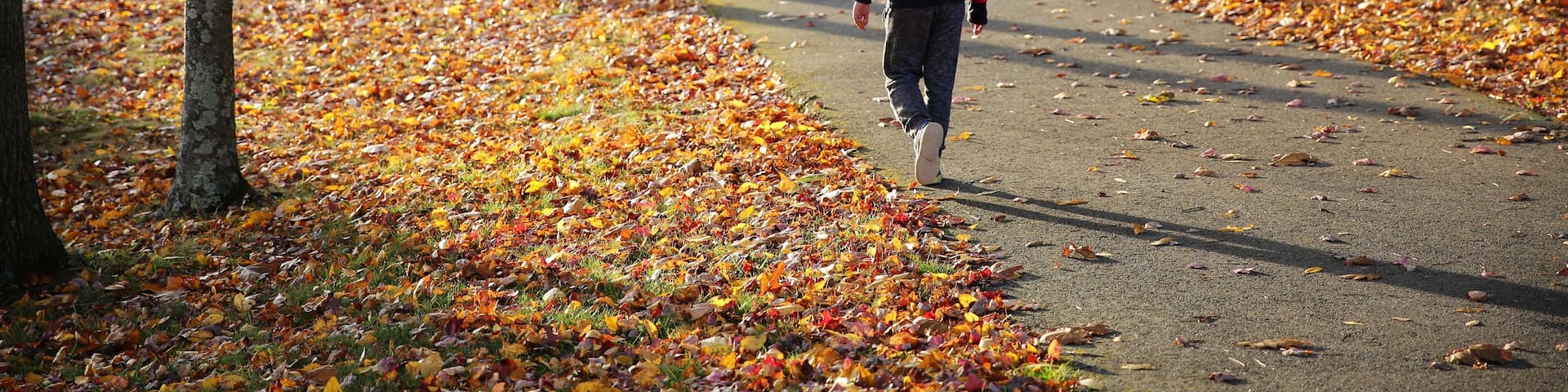 a leisure walk in the colorful fall near Fairview Lake, Newton, New Jersey, USA