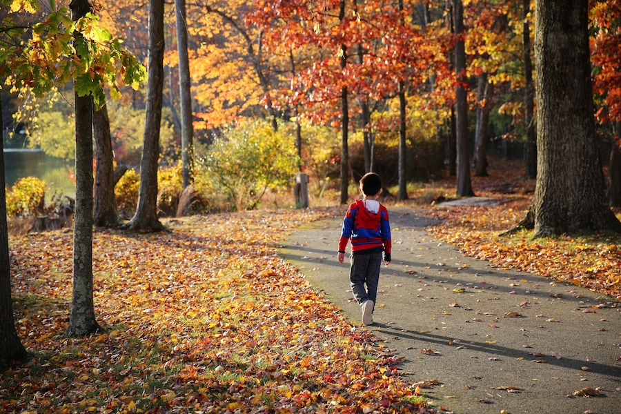 a leisure walk in the colorful fall near Fairview Lake, Newton, New Jersey, USA