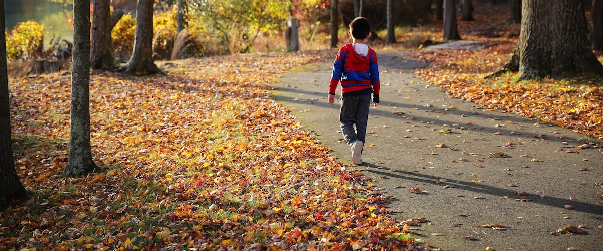 a leisure walk in the colorful fall near Fairview Lake, Newton, New Jersey, USA