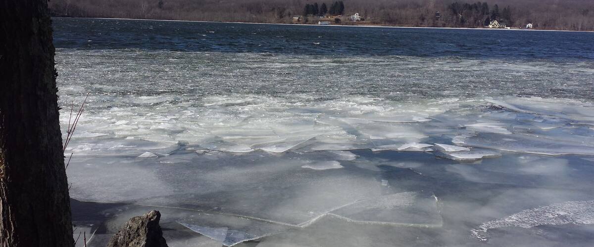 A frozen lake with clear ice and a tree trunk in the foreground.