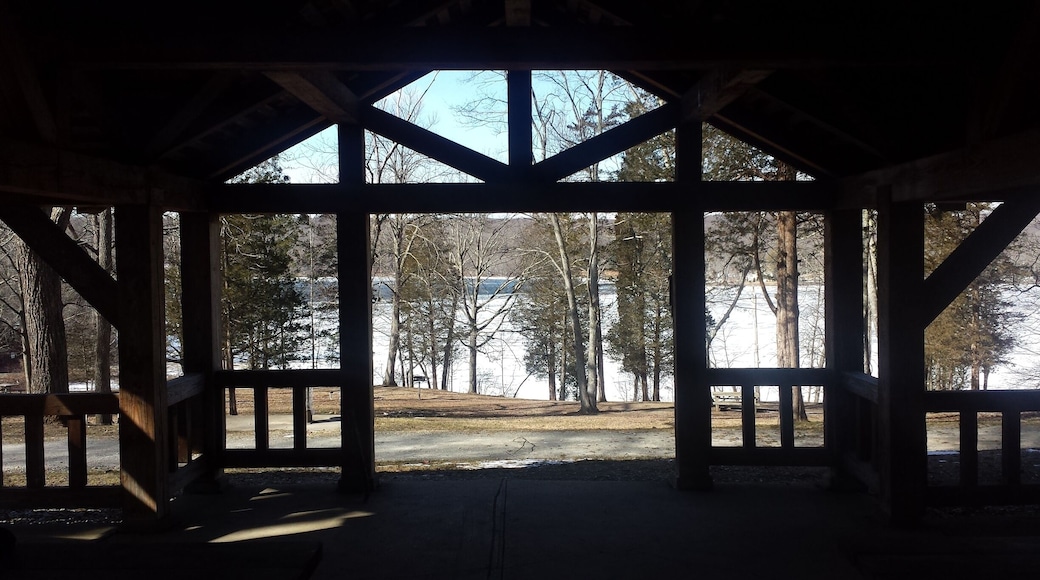 Went to this park a few days ago. It was -15 wind chill factor and the only one at the park.