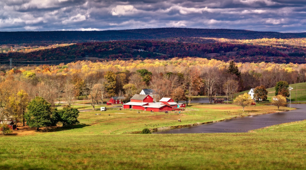 Waterwheel Farm in the fall - pano