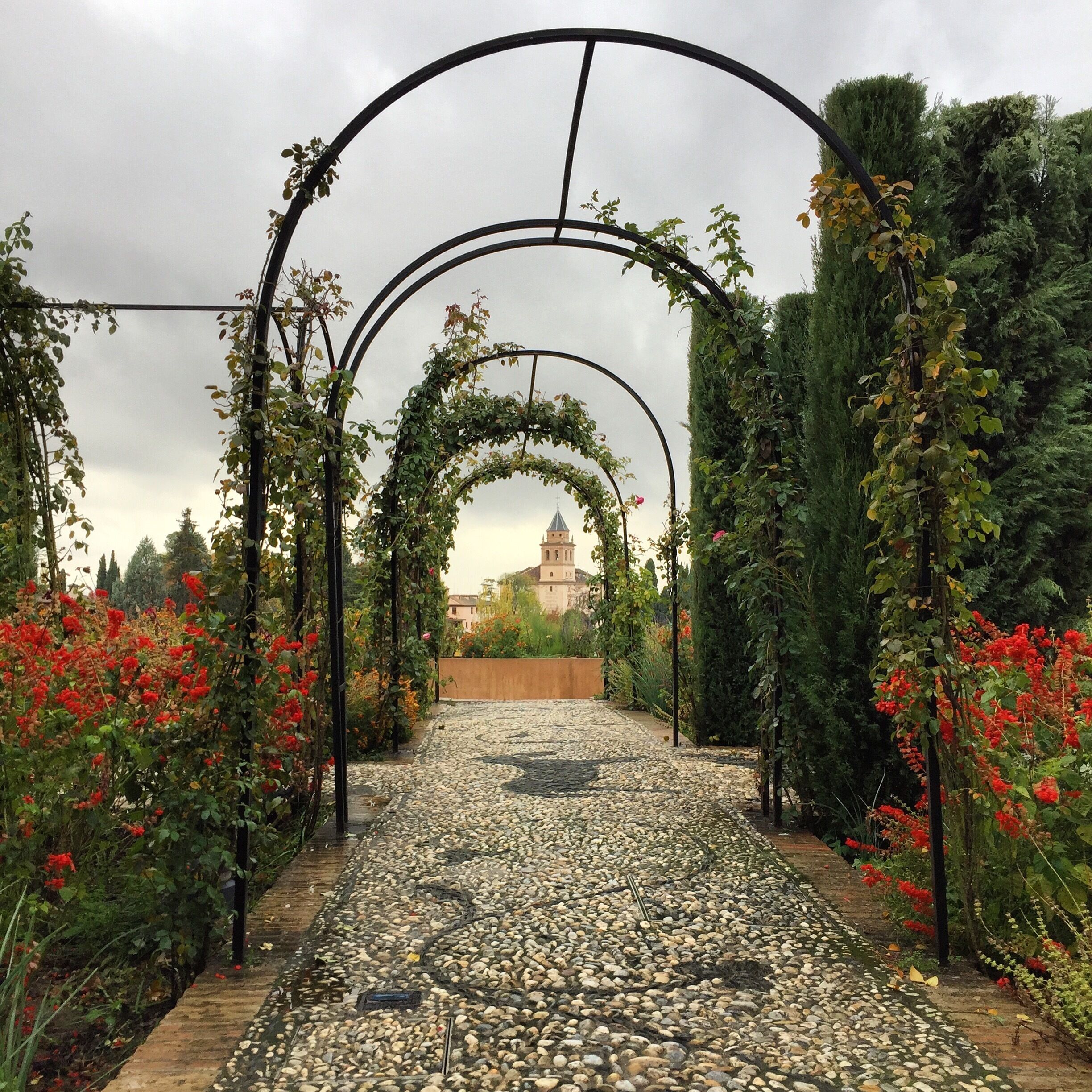 View of the Alhambra's tallest tower from the Generalife. Granada, Spain. November 23, 2016.