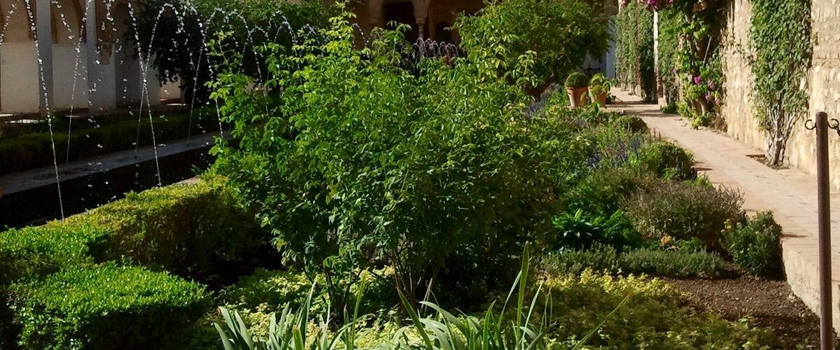 The Alhambra is the most visited landmark in Spain and for a good reason. We loved the architecture, ornamental walls and the gardens.