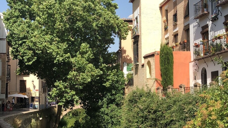 Rue Carrera del Darro