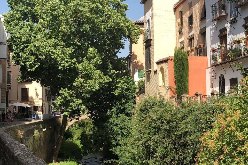 Un pont de pedra sobre un riu estret, envoltat de vegetació exuberant i edificis històrics amb balcons.