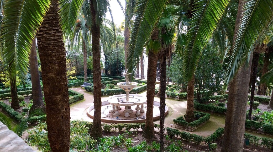 I walked all the way up to find these gardens without really knowing what to expect, but I absolutely loved them! It's said that poet Frederico García Lorca spent quite a bit of time here. There's a grand house surrounded by multiple gardens and fountains. 🌴⛲️🍊It's a rather peaceful spot with overlooks of the city and surprises around every corner. There are plaques displaying local Spanish poetry throughout, and I even found a gang of peacocks wandering around! Definitely plan to spend a lot of time here. Update: there is also a hidden lake with a mini castle on an island in the middle, as well as ducks... 🦆