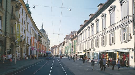 格拉茨 呈现出 城市 和 街道景色