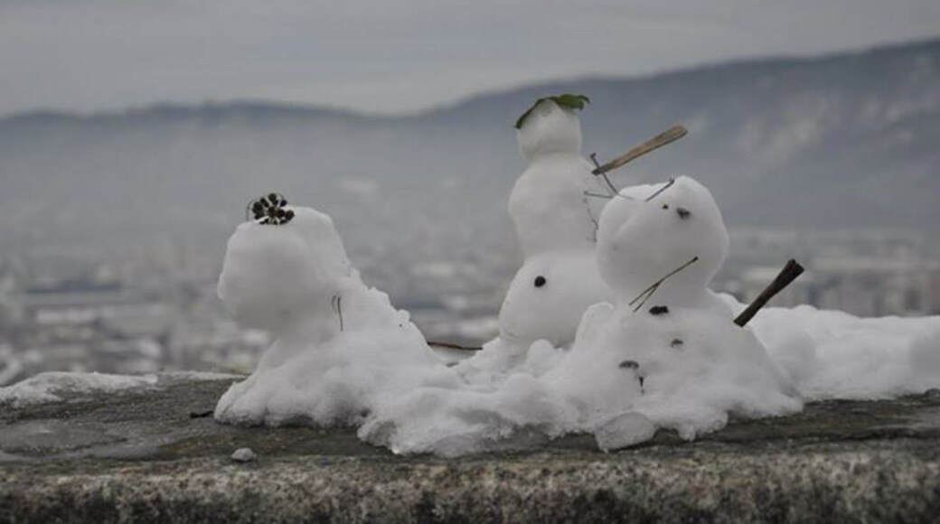 white family at top of the hill