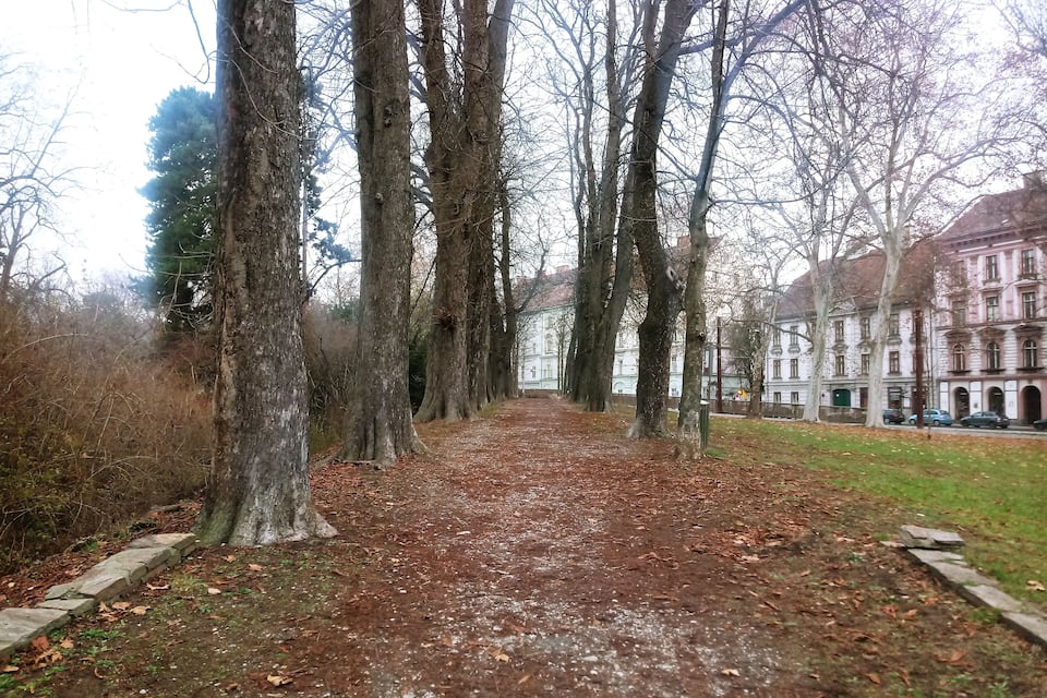 Un sendero bordeado de árboles, con un edificio al fondo.
