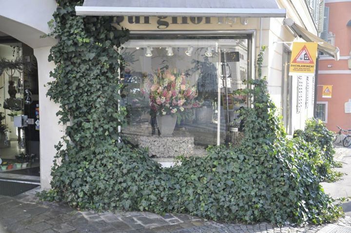 Flower shop in winter!!! Nice!!