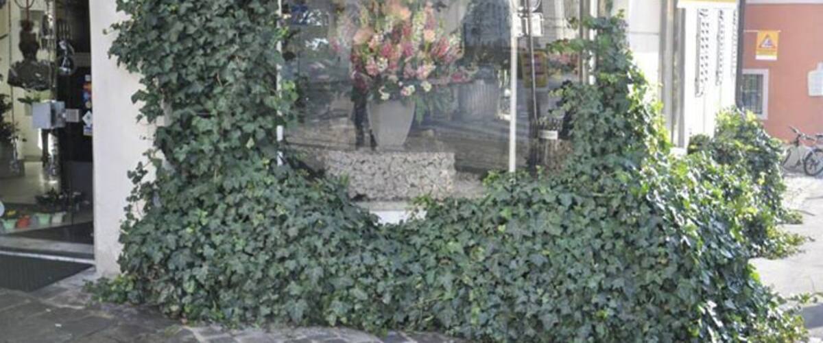 Flower shop in winter!!! Nice!!