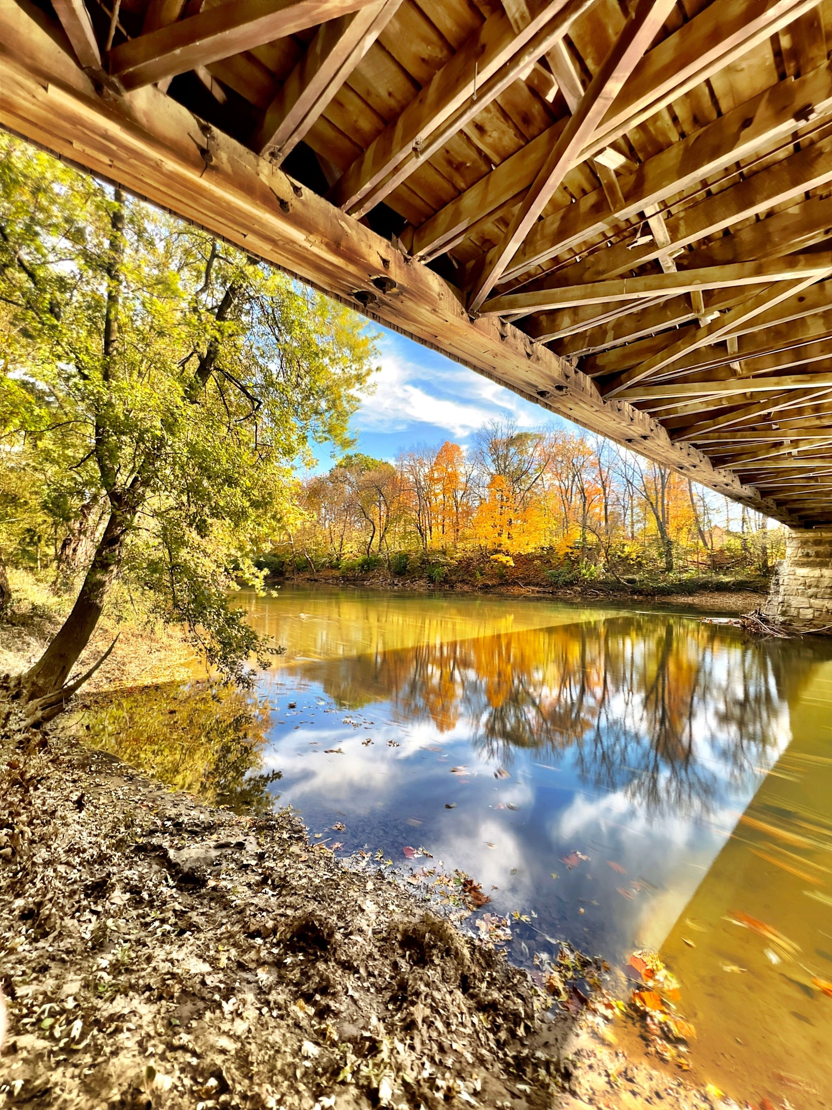 River in an autumn forest in Noblesville, Indiana, USA
