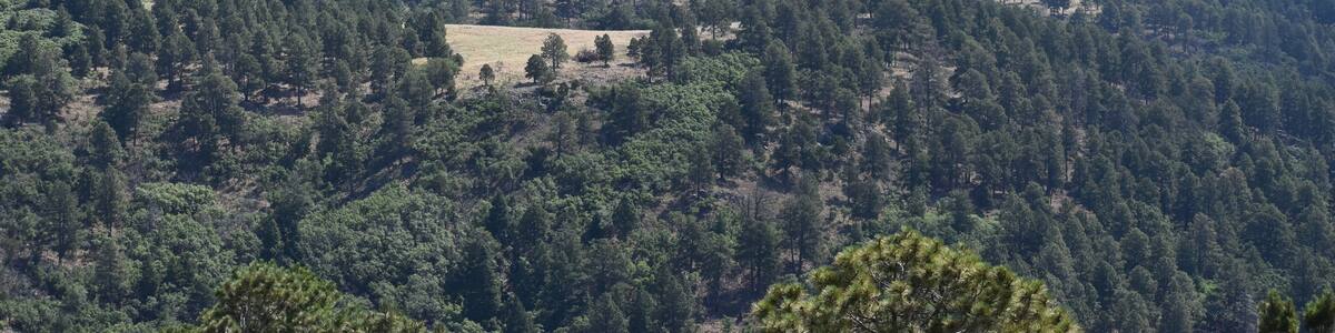 Nogal Peak White Mountains New Mexico 2020