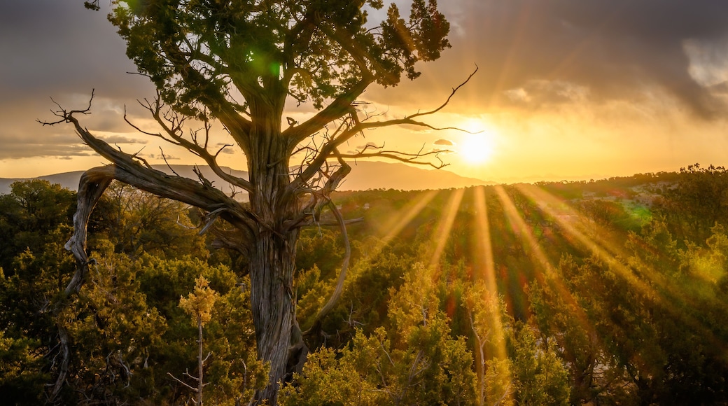 Sunrise in Lincoln National Forest