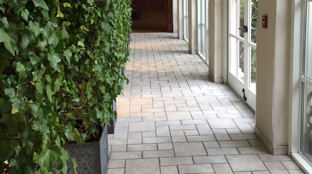 Beautiful walkway, O Henry hotel