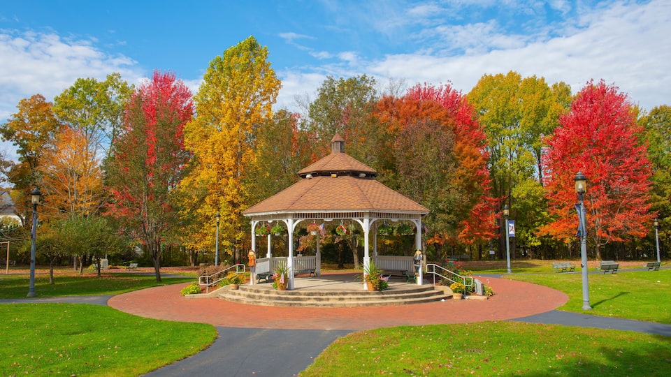 A gazebo in a park surrounded by autumn-colored trees.