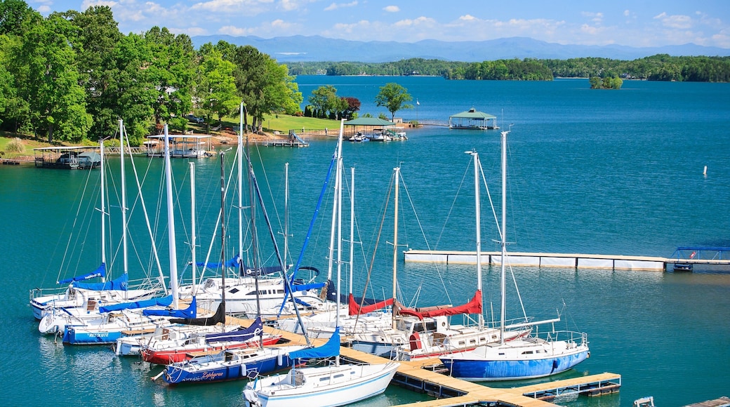 Greenville som viser marina, elv eller bekk og kyst