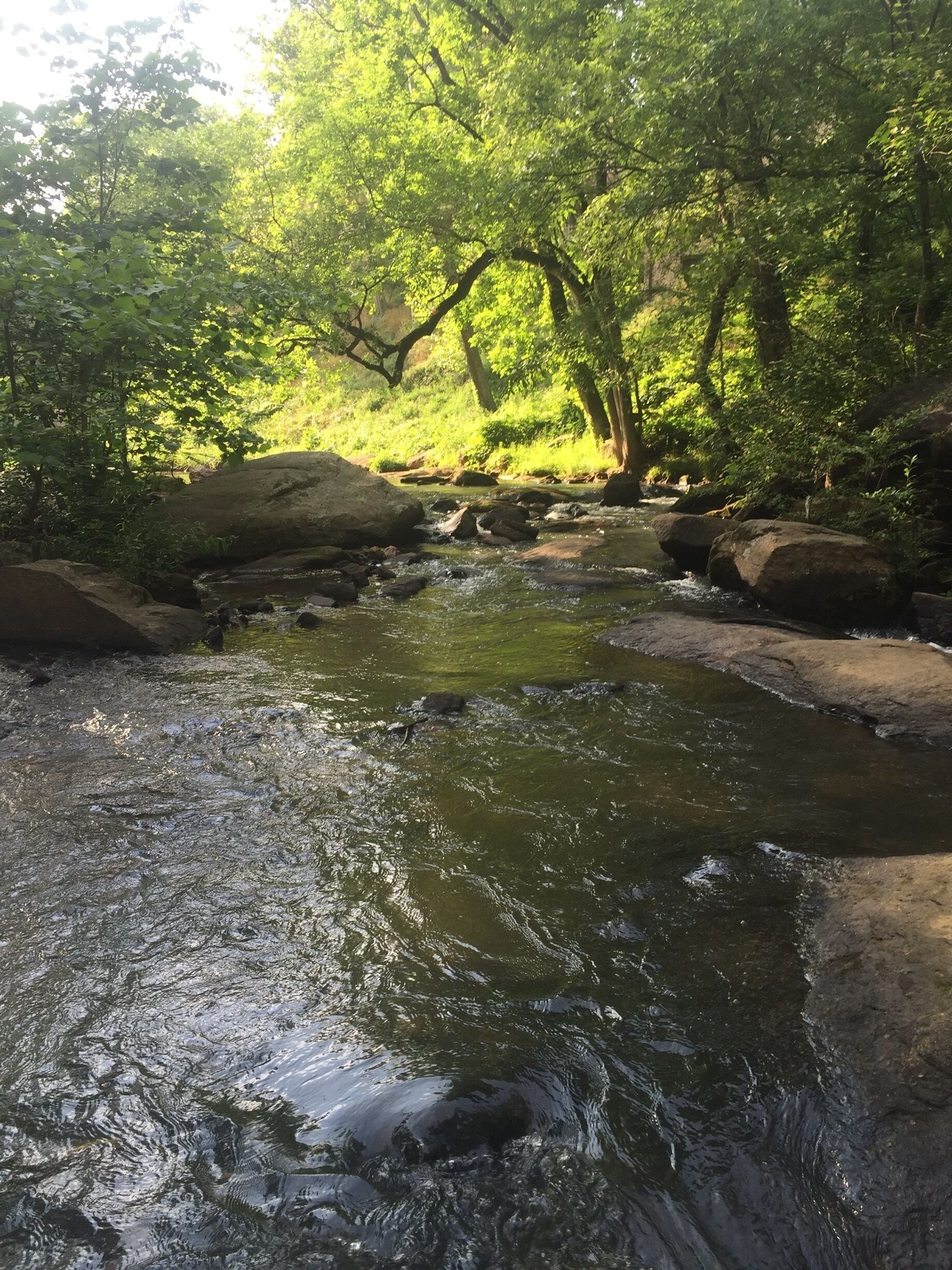 Falls Park in the middle of downtown! Beautiful place to relax, set up a hammock, play in the water and listen to the falls. 