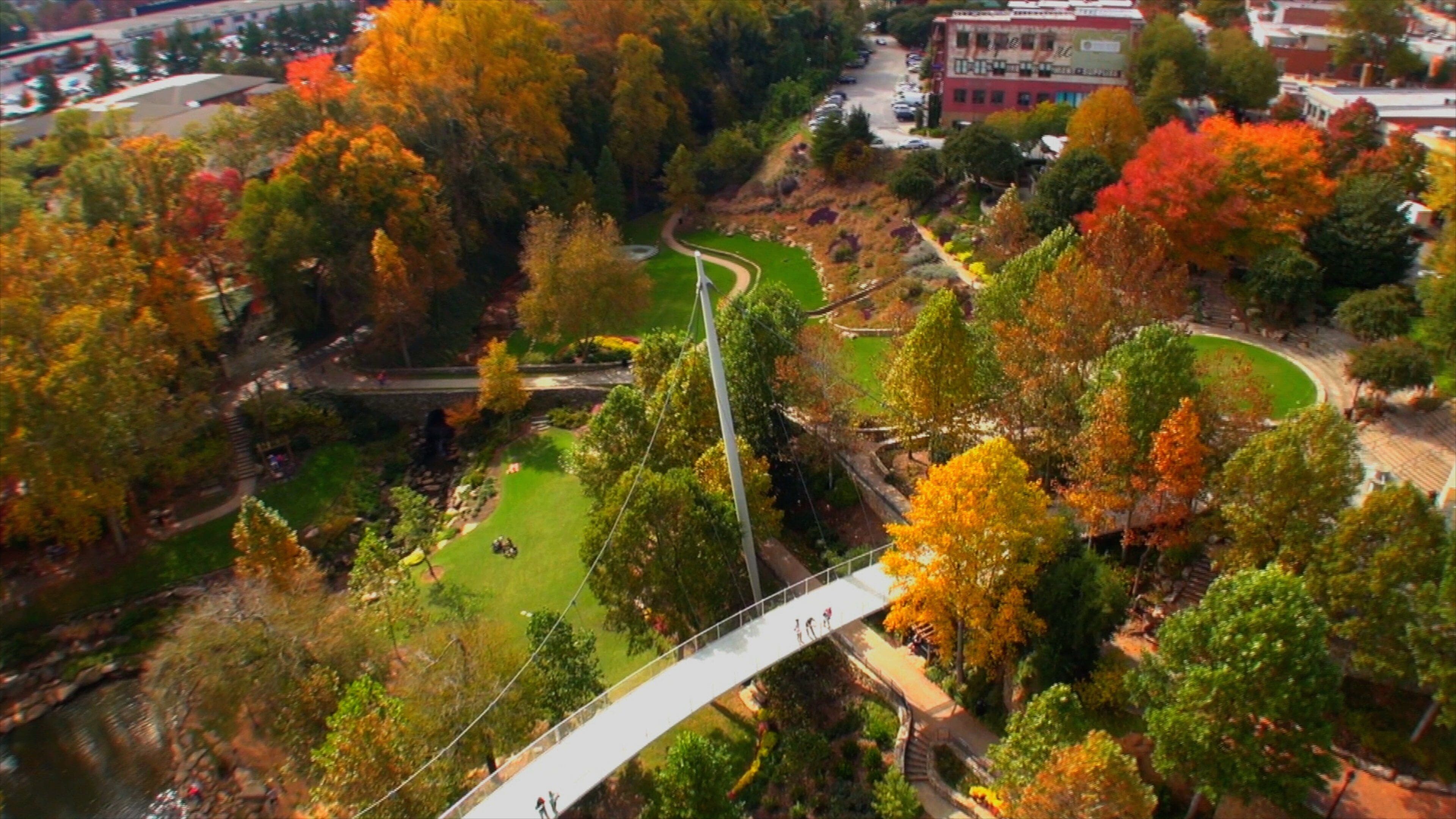 Greenville showing a bridge, a park and fall colors