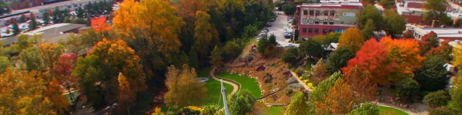 An aerial view of a park with a suspension bridge, autumn-colored trees, and a winding path.