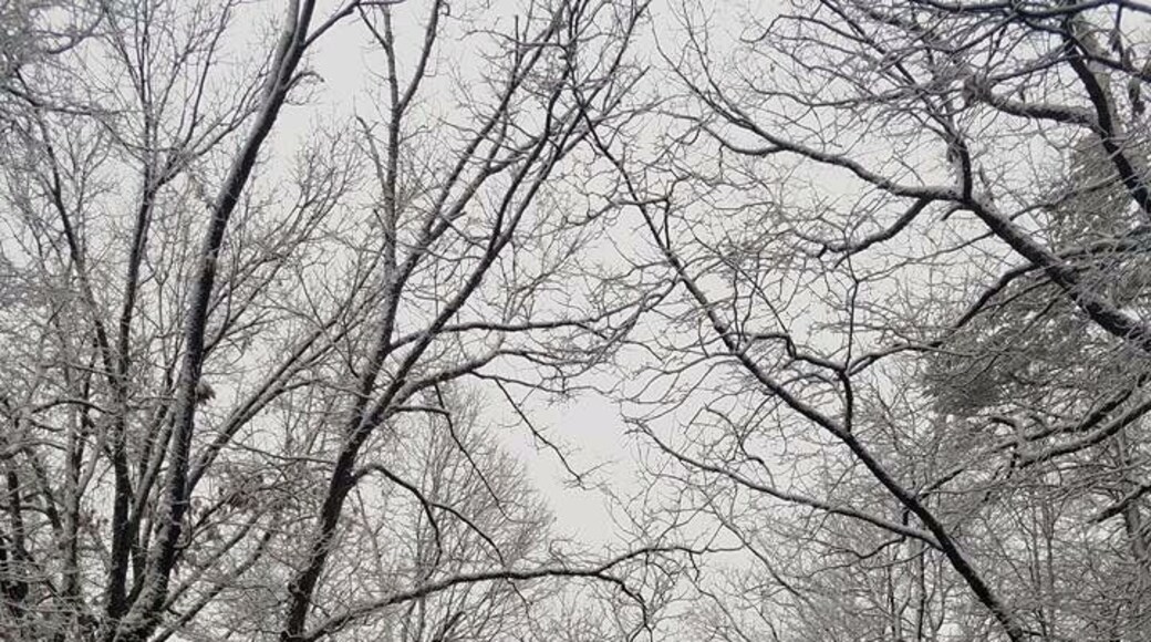 Paris mountain state park...an nature oasis right next to the city.
